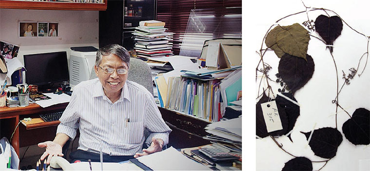 Emeritus Professor Dato’ Dr Abdul Latiff Mohamad